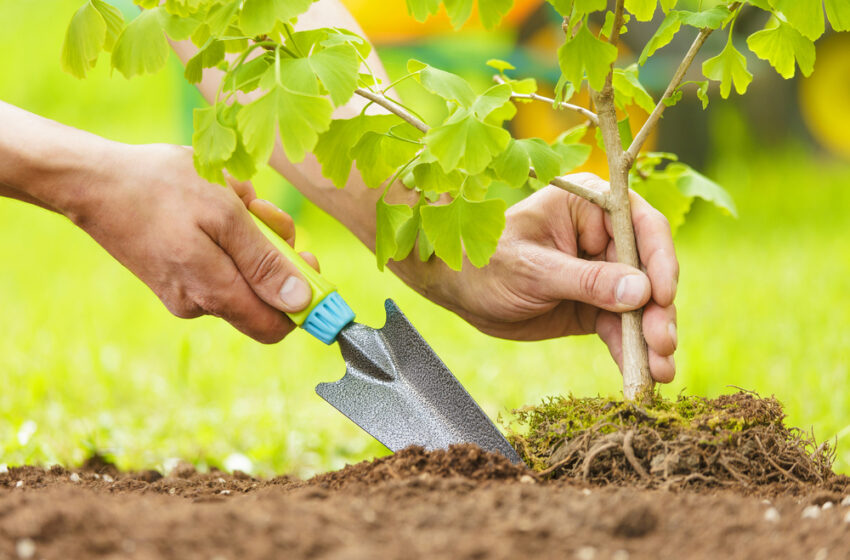  3 ideeën voor duurzaam tuinieren